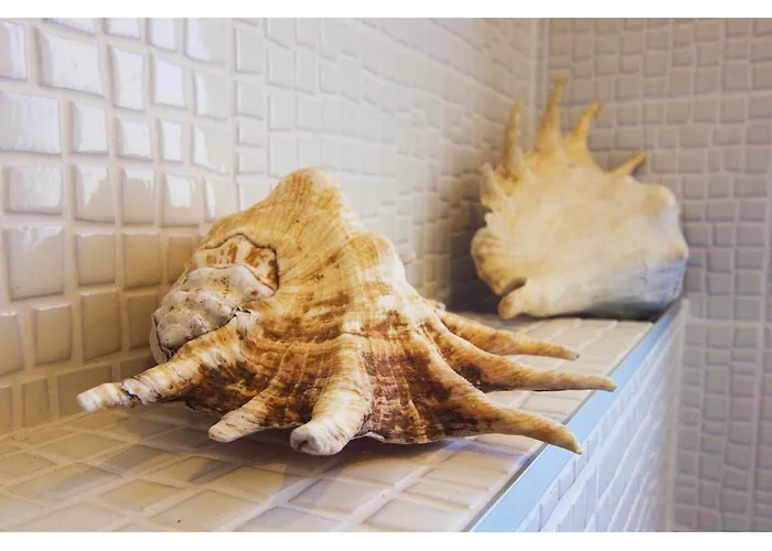 Solenta 斯普利特